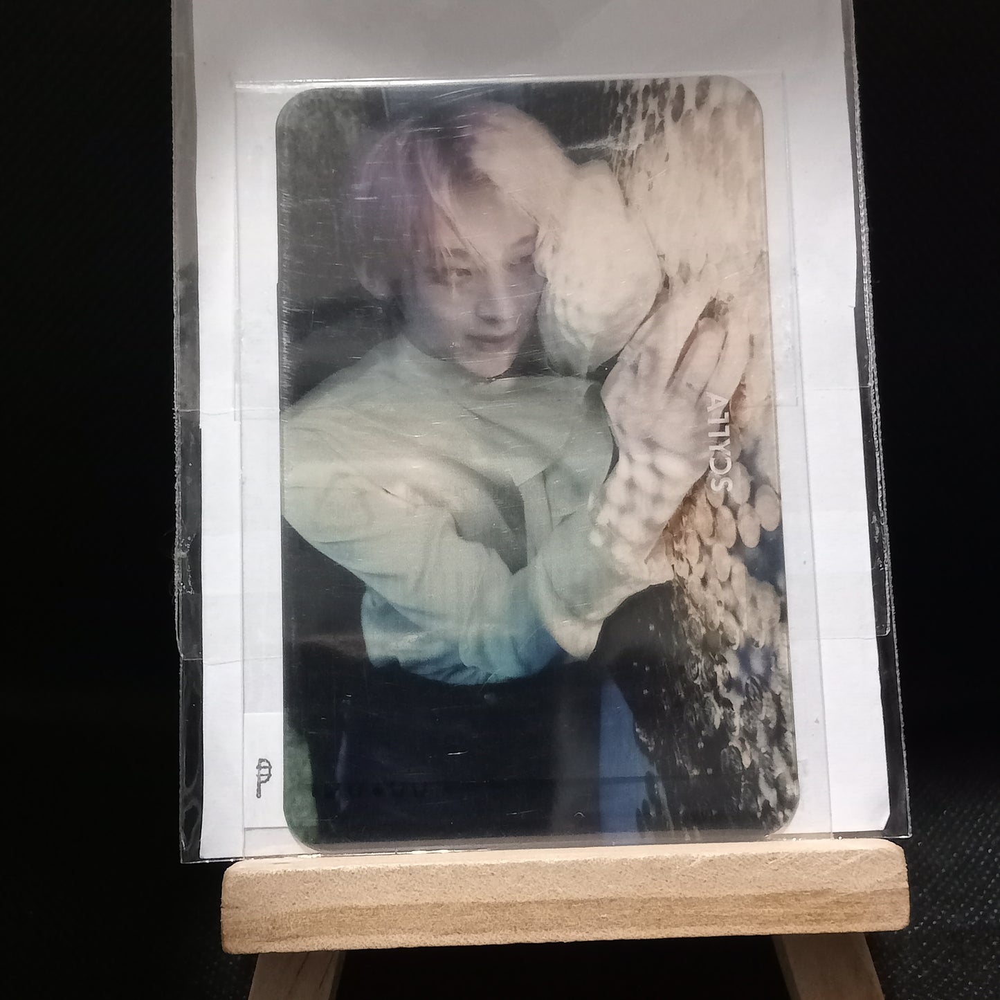 [ONHAND] Enhypen Junwon Sunoo Alladin POB Dimension: Dilemma