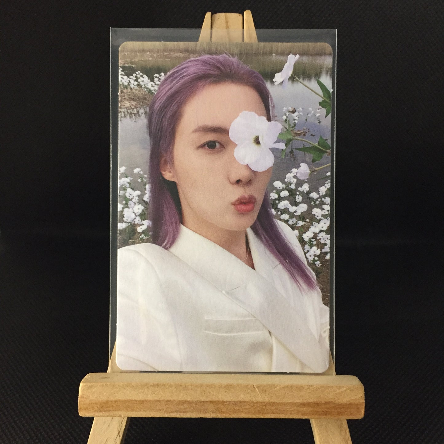 [ONHAND] BTS Photo-folio PCs