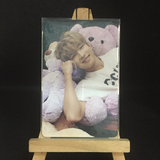 [ONHAND] SVT Wonwoo D'icon 101 Teddy Photocard