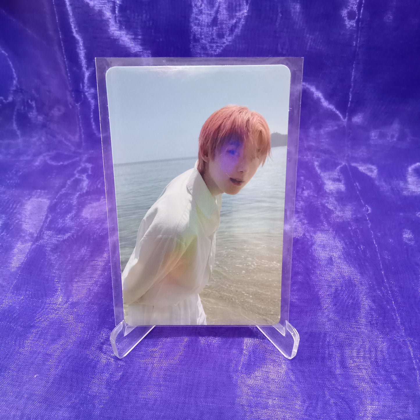 [ONHAND] ENHYPEN Dimension: Dilemma Holographic Photocard - Macalde
