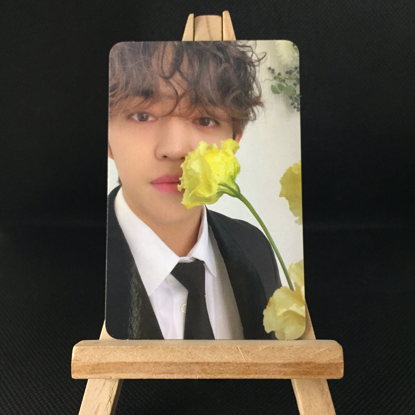 [ONHAND] FML Carat Version Random Photocards RPC Tingi