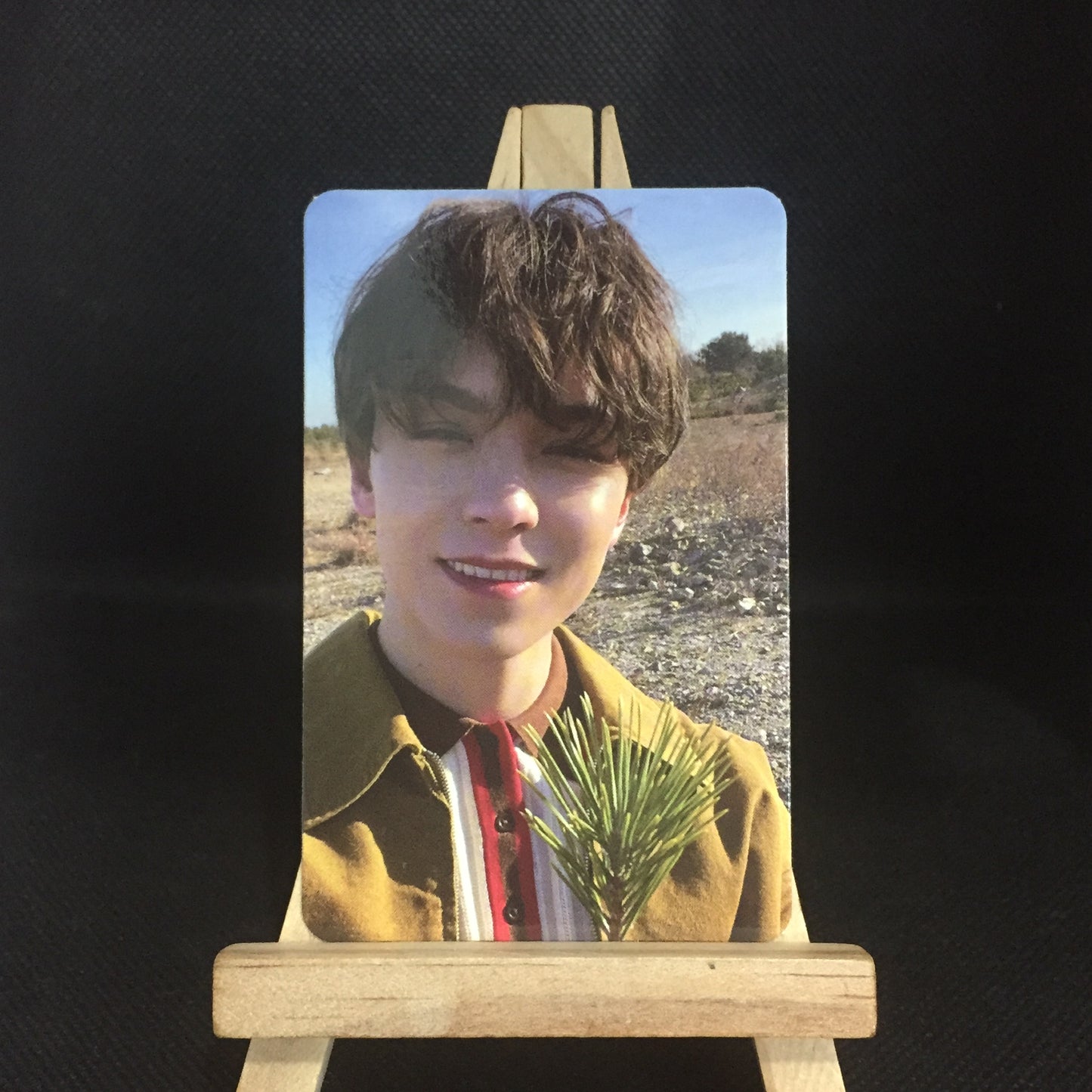 [ONHAND] Face the Sun Photocards