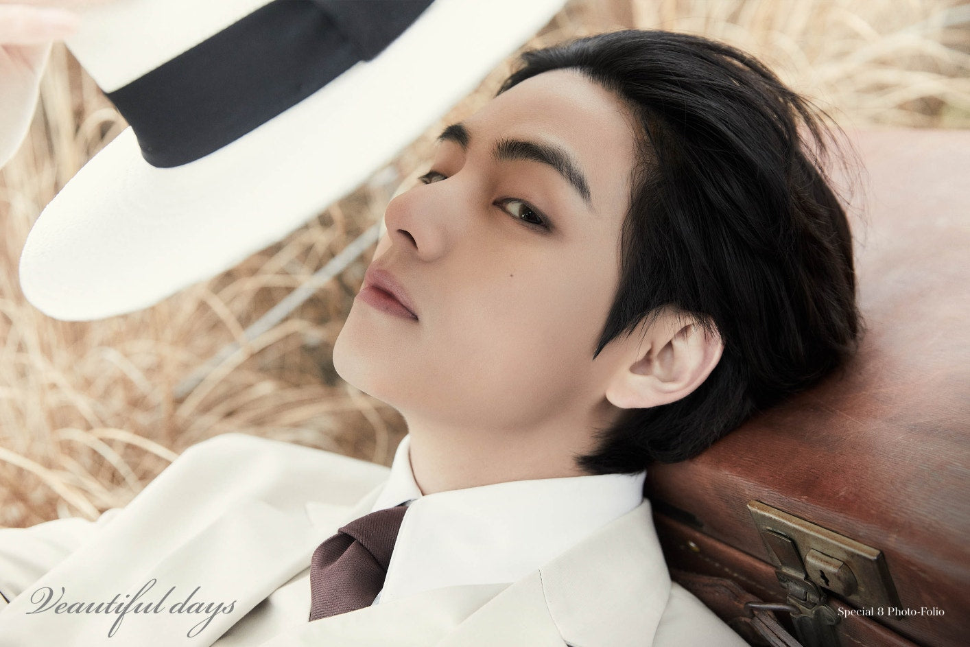 [PRE-ORDER] BTS Special 8 Photo-folio Me, Myself, and V 'Veautiful Days'