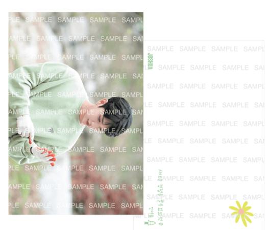 [PRE-ORDER] SVT In The Soop Postcards Tingi