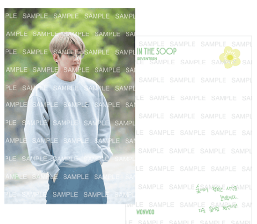 [PRE-ORDER] SVT In The Soop Postcards Tingi