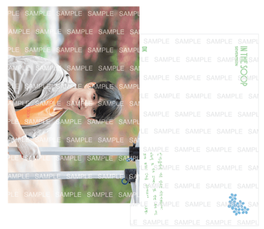 [PRE-ORDER] SVT In The Soop Postcards Tingi