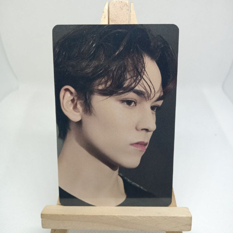 [ONHAND] Seventeen D'icon 101 Photocards Tingi