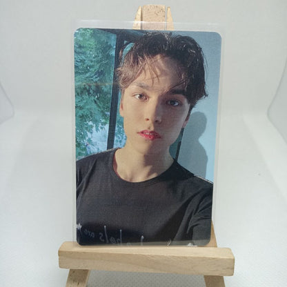 [ONHAND] Seventeen D'icon 101 Photocards Tingi