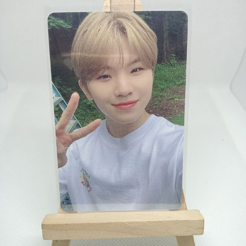 [ONHAND] Seventeen D'icon 101 Photocards Tingi