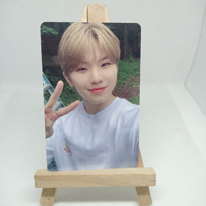 [ONHAND] Seventeen D'icon 101 Photocards Tingi